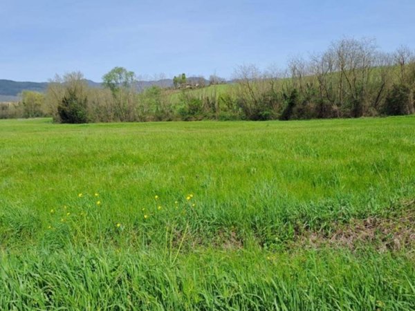 terreno agricolo in vendita a Scarperia e San Piero in zona Scarperia