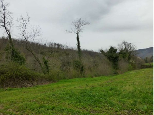 terreno agricolo in vendita a Scarperia e San Piero in zona Scarperia