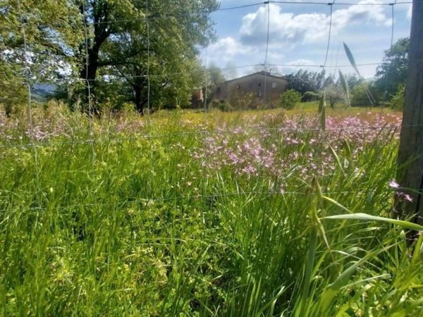 quadrivano in vendita a Scarperia e San Piero in zona Ponzalla
