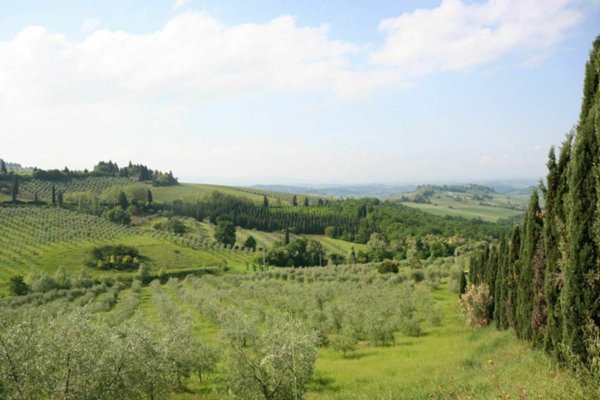 terreno agricolo in vendita a Barberino Tavarnelle in zona Barberino Val d'Elsa