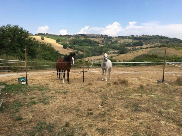 appartamento in vendita a Barberino Tavarnelle in zona Barberino Val d'Elsa