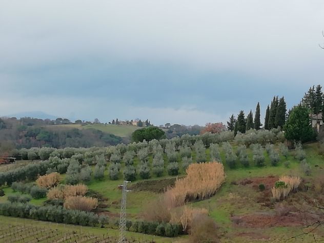 terreno agricolo in vendita a Barberino Tavarnelle in zona Barberino Val d'Elsa