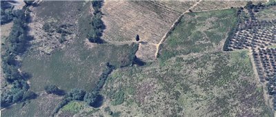 terreno agricolo in vendita a Barberino Tavarnelle in zona Barberino Val d'Elsa