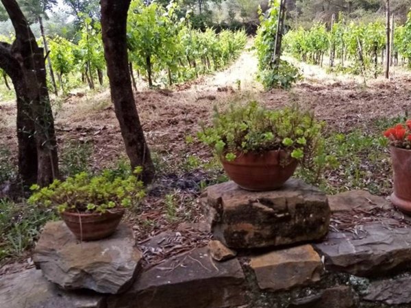 casa indipendente in vendita a Barberino Tavarnelle in zona San Donato in Poggio