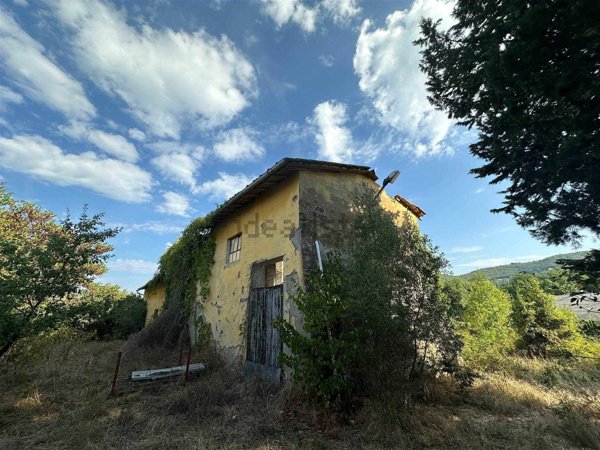 esavano in vendita a Barberino Tavarnelle