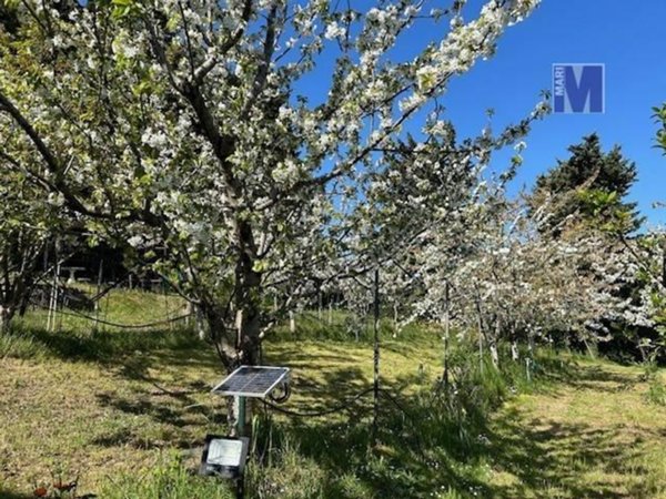 casa indipendente in vendita a Barberino Tavarnelle in zona San Donato in Poggio