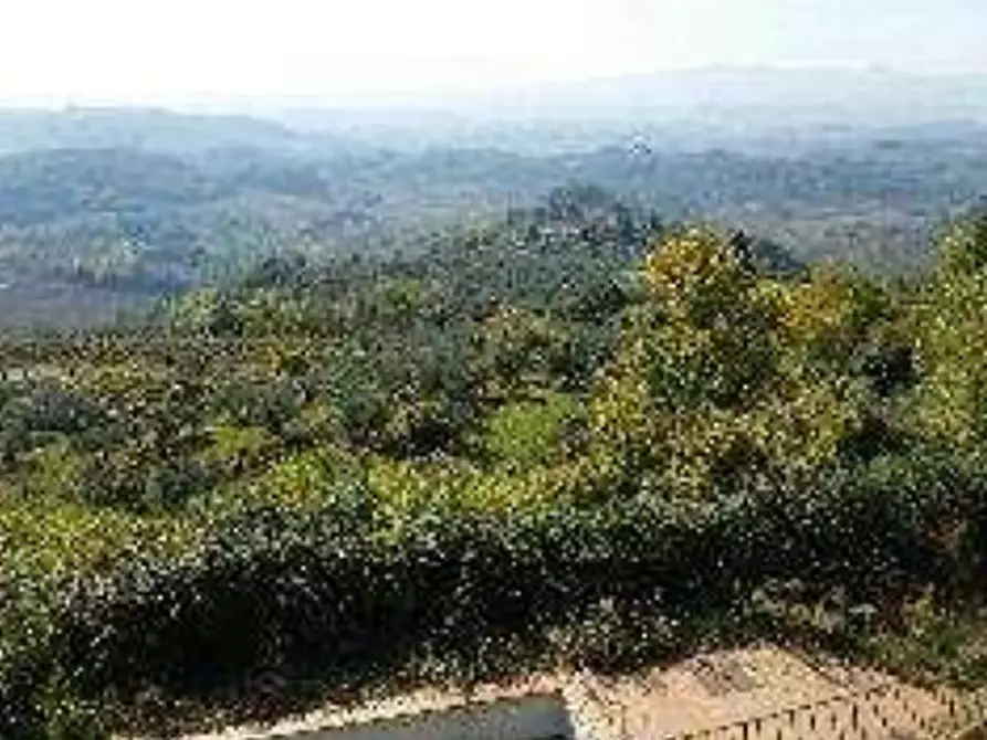 terreno agricolo in vendita a Barberino Tavarnelle in zona Marcialla