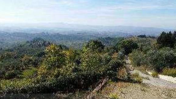 terreno agricolo in vendita a Barberino Tavarnelle in zona Marcialla