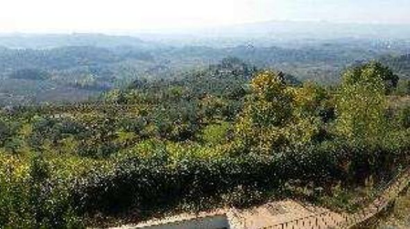 terreno agricolo in vendita a Barberino Tavarnelle in zona Marcialla
