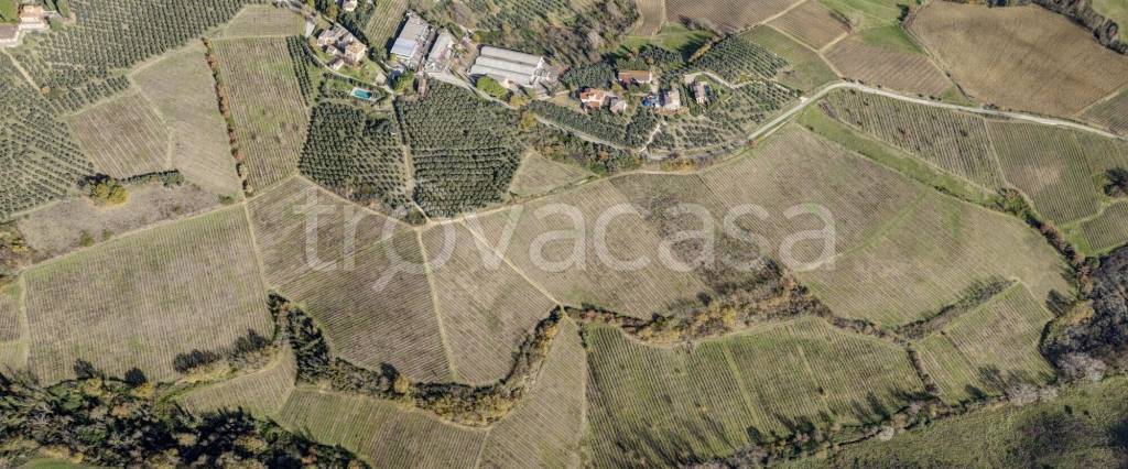 terreno agricolo in vendita a Barberino Tavarnelle
