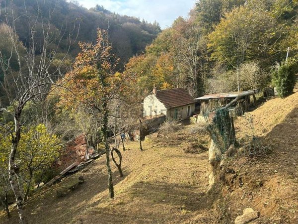 casa indipendente in vendita ad Armeno