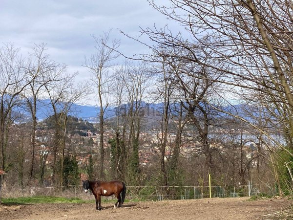 casa indipendente in vendita ad Arona in zona Mercurago