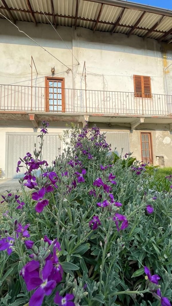 appartamento in vendita a Bellinzago Novarese