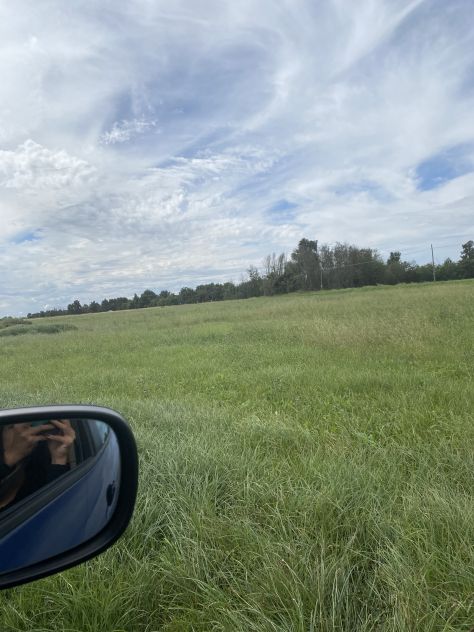 terreno agricolo in vendita a Bellinzago Novarese