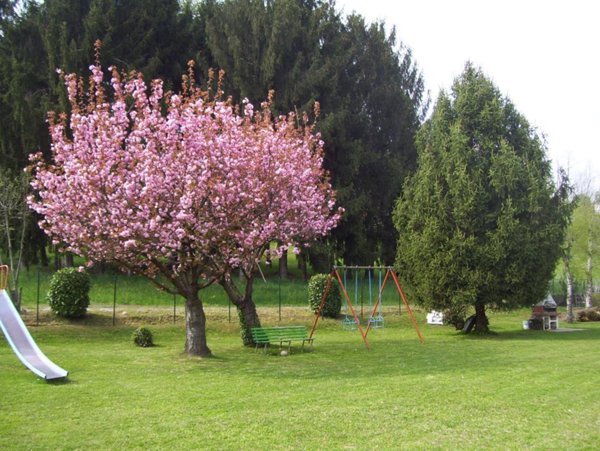 appartamento in vendita a Bellinzago Novarese