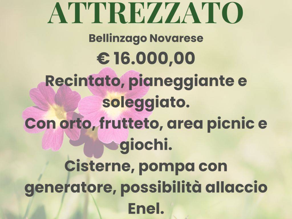 terreno agricolo in vendita a Bellinzago Novarese