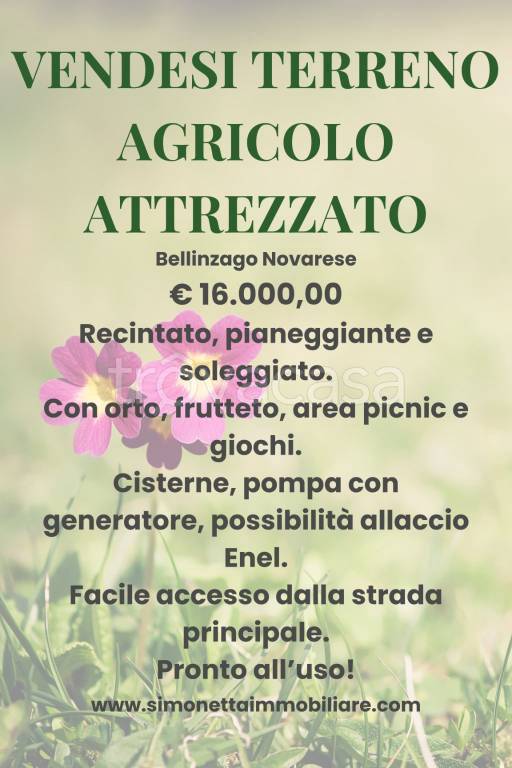 terreno agricolo in vendita a Bellinzago Novarese