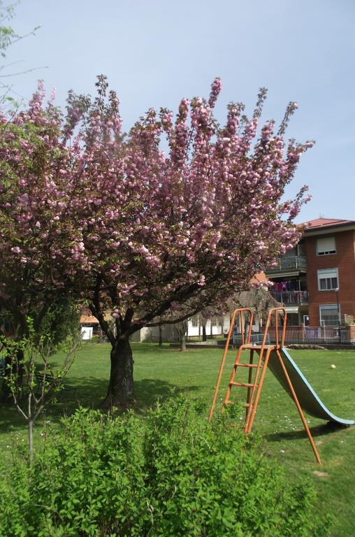 appartamento in vendita a Bellinzago Novarese