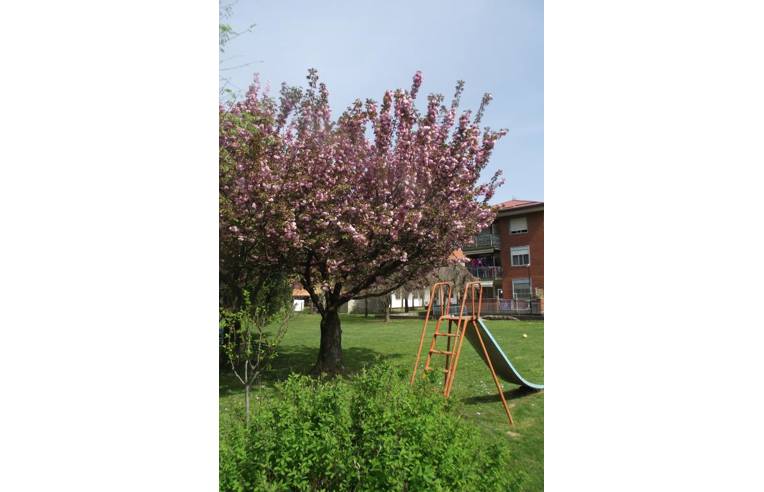 appartamento in vendita a Bellinzago Novarese