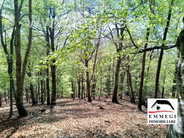 casale in vendita a Boca