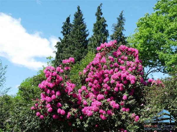 casa indipendente in vendita a Bolzano Novarese