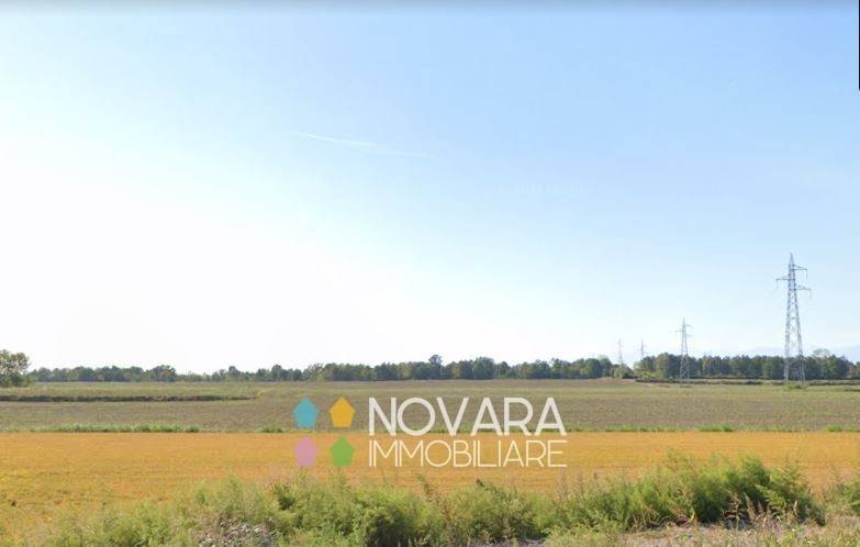 terreno agricolo in vendita a Borgolavezzaro
