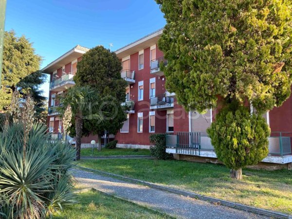 appartamento in vendita a Borgolavezzaro