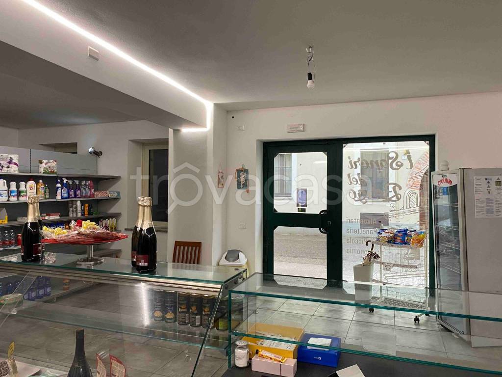 monolocale in vendita a Borgolavezzaro