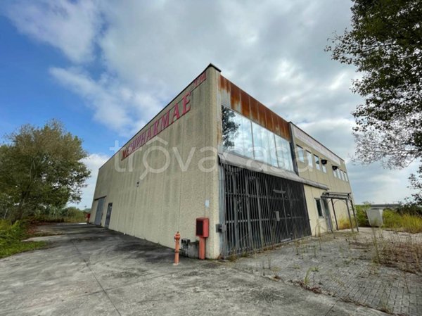 locale commerciale in vendita a Borgolavezzaro
