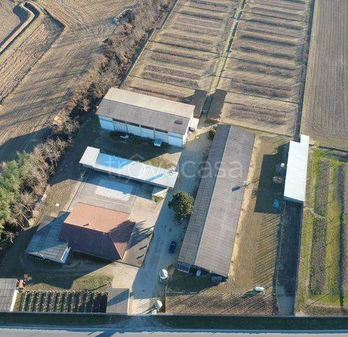 locale commerciale in vendita a Borgolavezzaro