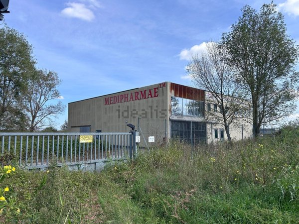 capannone in vendita a Borgolavezzaro