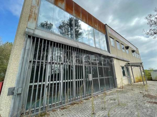 locale commerciale in vendita a Borgolavezzaro