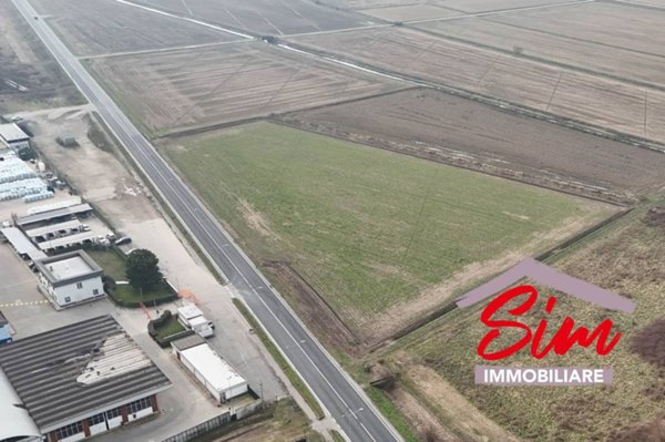 terreno agricolo in vendita a Borgolavezzaro