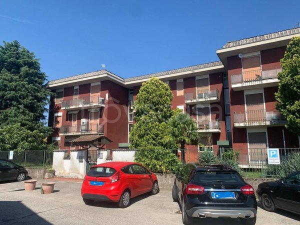 appartamento in vendita a Borgolavezzaro