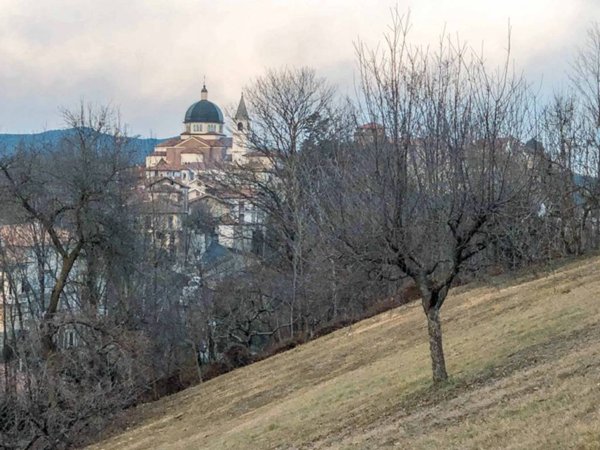 terreno agricolo in vendita a Borgomanero