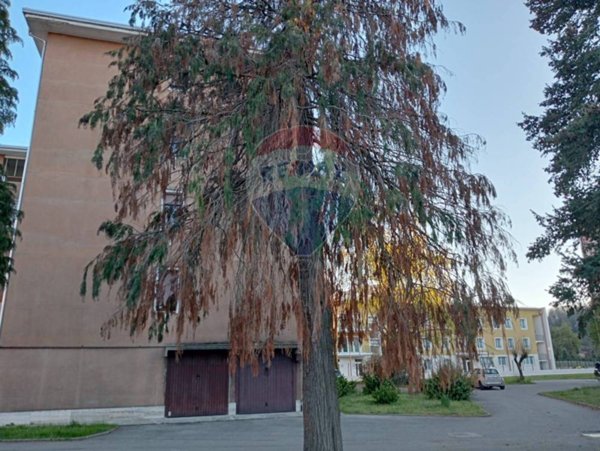 appartamento in vendita a Borgomanero