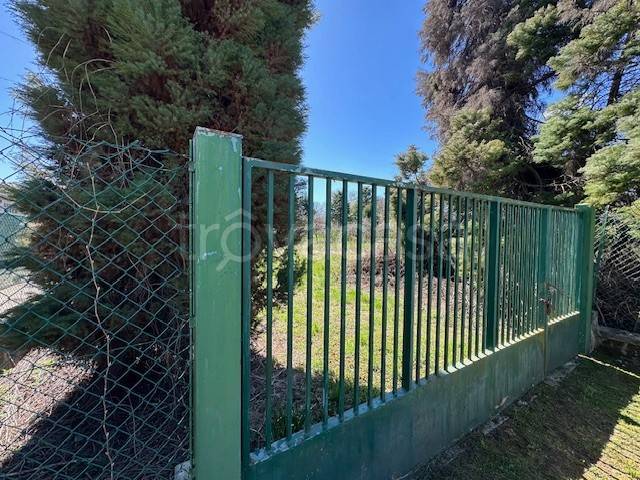 terreno agricolo in vendita a Borgomanero