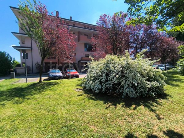 appartamento in vendita a Borgomanero