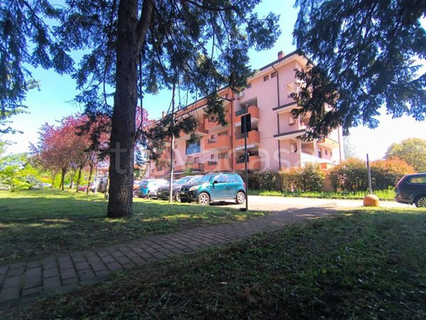 appartamento in vendita a Borgomanero