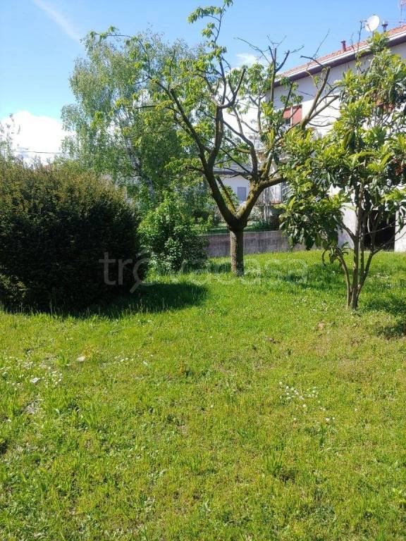 casa indipendente in vendita a Borgomanero in zona San Marco