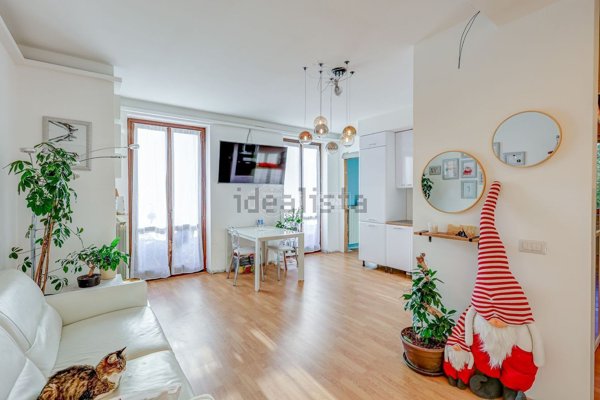 appartamento in vendita a Borgo Ticino