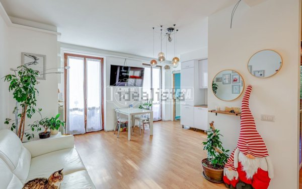 appartamento in vendita a Borgo Ticino
