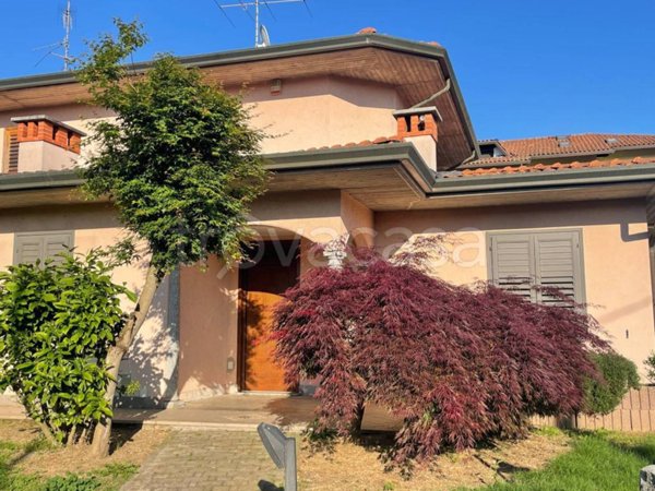 immagine annuncio 0 di 15