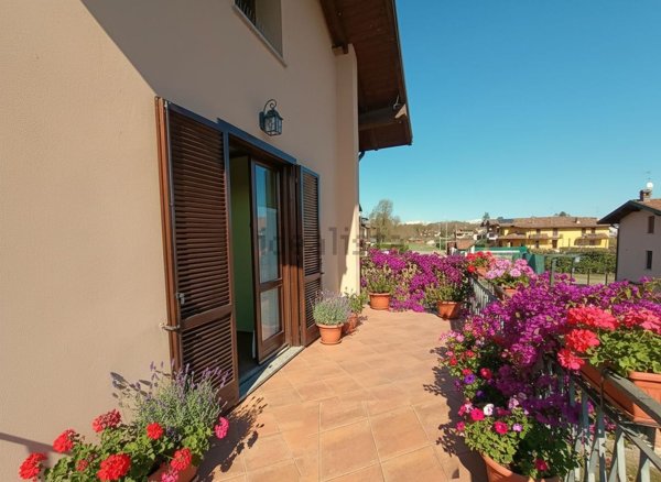 casa semindipendente in vendita a Borgo Ticino