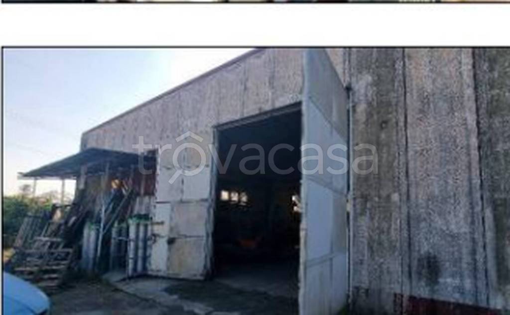 negozio in vendita a Borgo Ticino