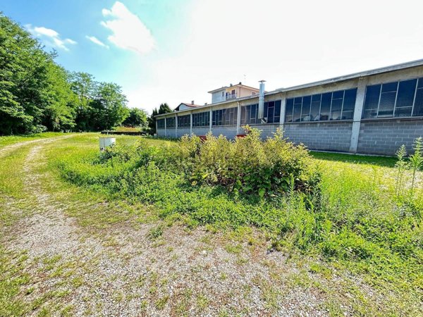 capannone in vendita a Borgo Ticino