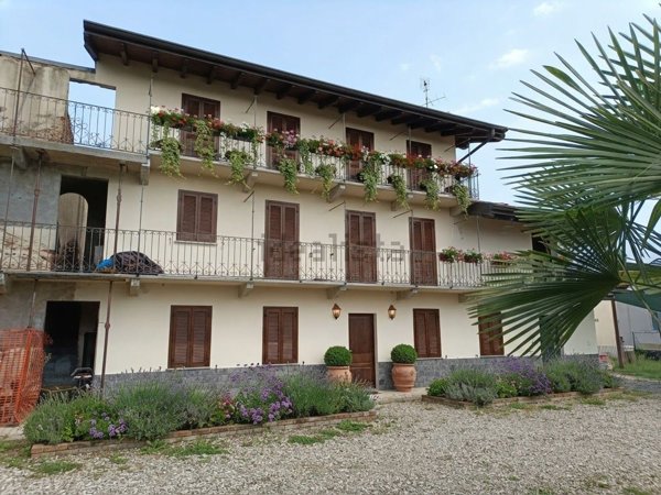 esavano in vendita a Borgo Ticino in zona Gagnago