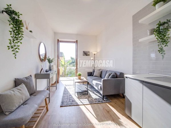 casa indipendente in vendita a Borgo Ticino in zona Campagnola