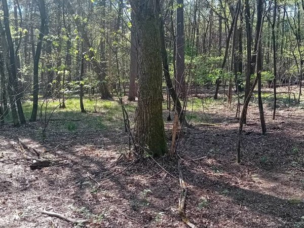 terreno in vendita a Borgo Ticino in zona Gagnago