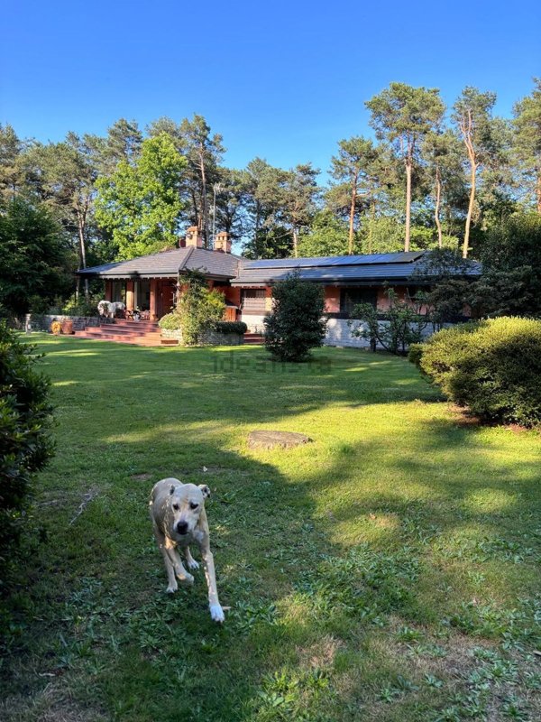 casa indipendente in vendita a Borgo Ticino in zona Lazzaretto
